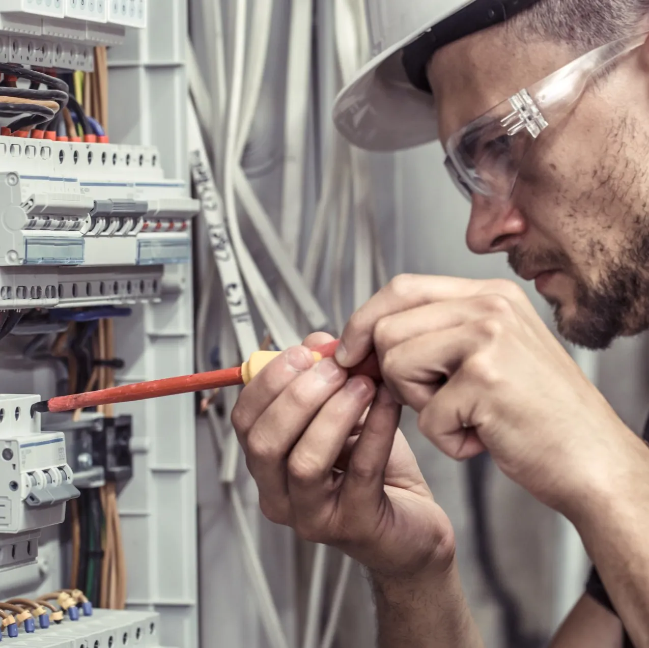 shutterstock_1150699769-762e04fc-1920w